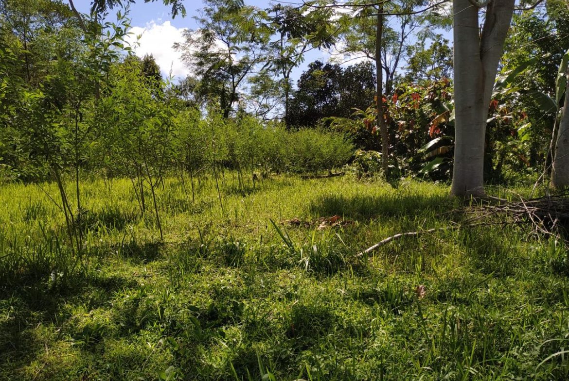 WhatsApp Image 2025 08 20 at 13.48.18 (2)