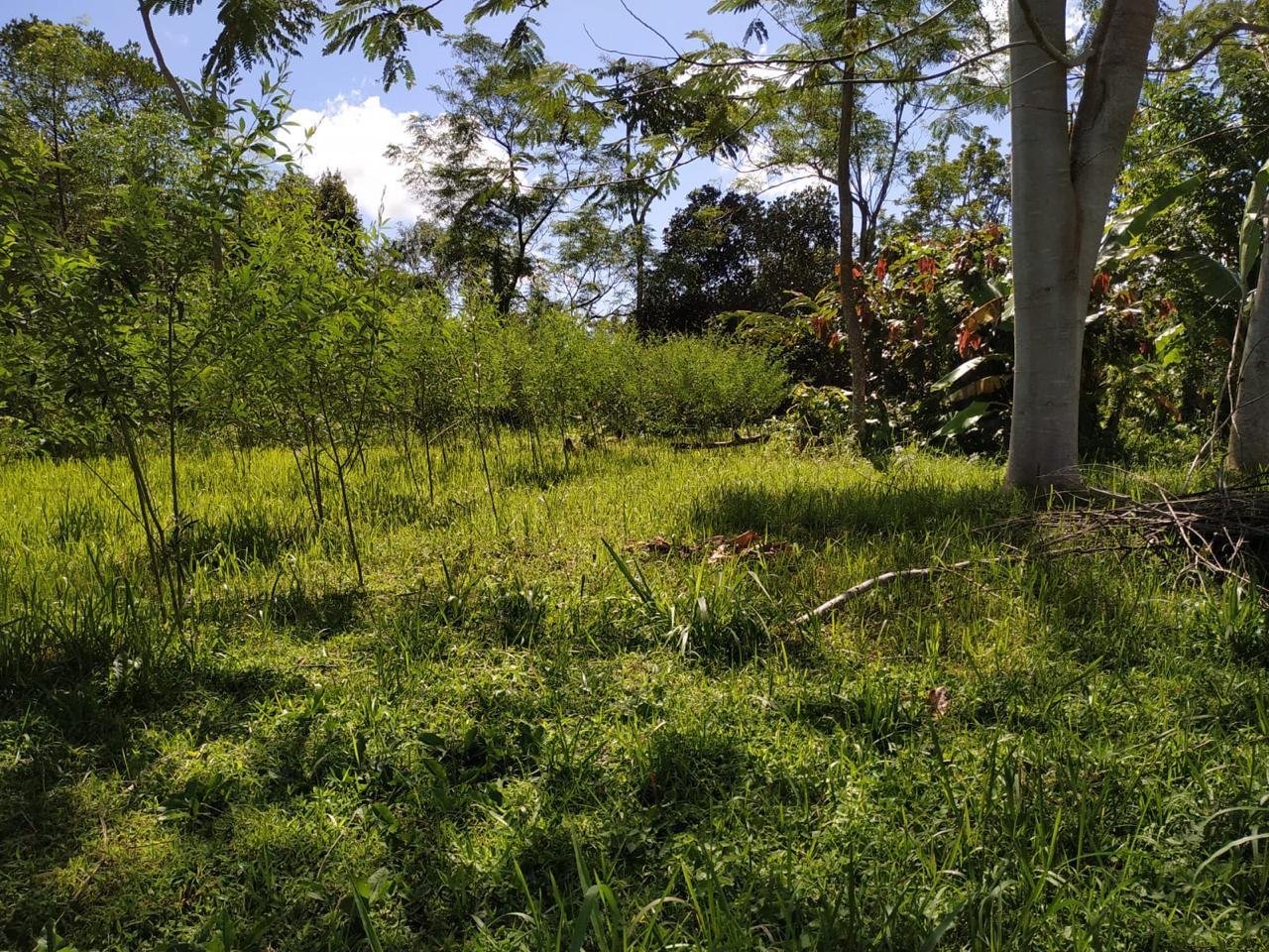 WhatsApp Image 2025 08 20 at 13.48.18 (2)