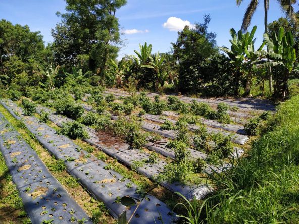 WhatsApp Image 2025 08 20 at 13.48.18 (3)