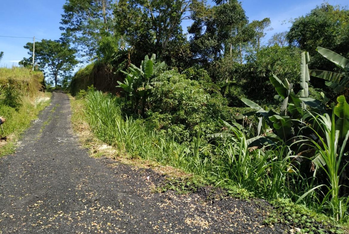 WhatsApp Image 2025 08 20 at 13.48.19 (1)