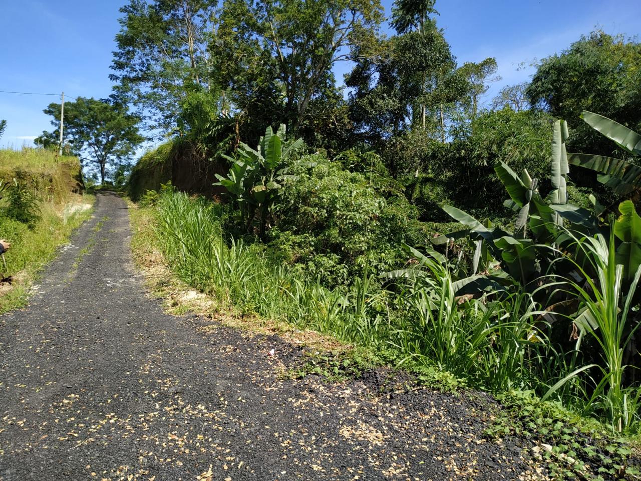 WhatsApp Image 2025 08 20 at 13.48.19 (1)