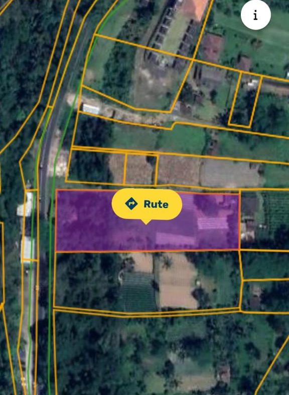 WhatsApp Image 2025 08 20 at 13.48.19 (2)