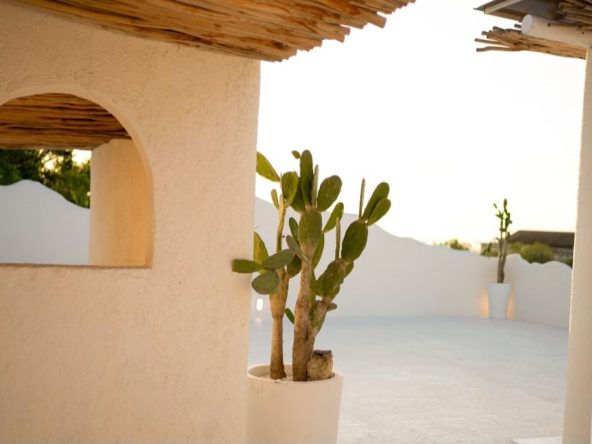 WhatsApp Image 2025 08 20 at 20.38.54 (2)