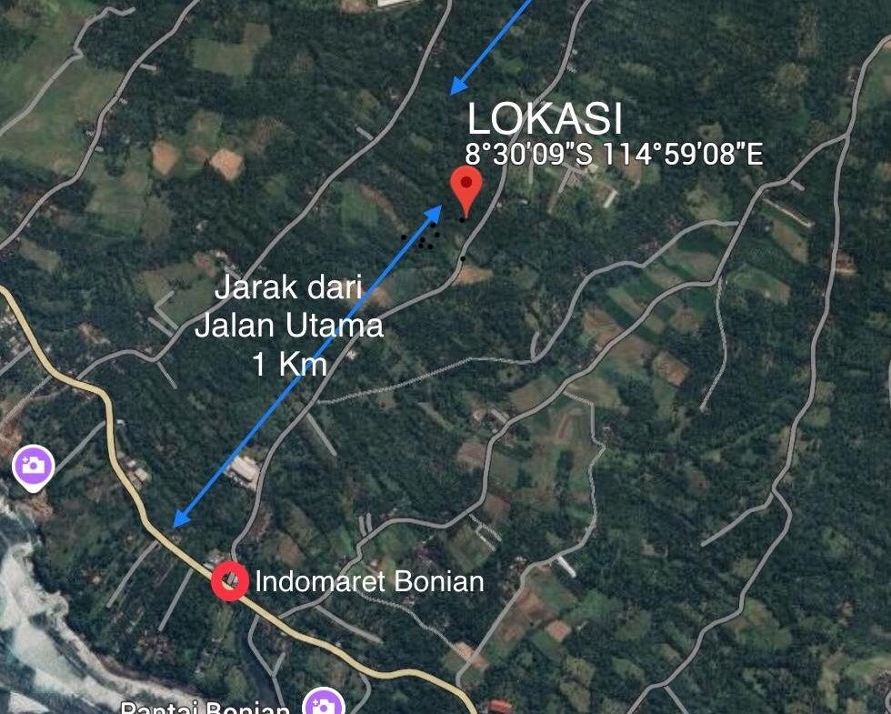 WhatsApp Image 2025 08 21 at 17.56.28 (1)