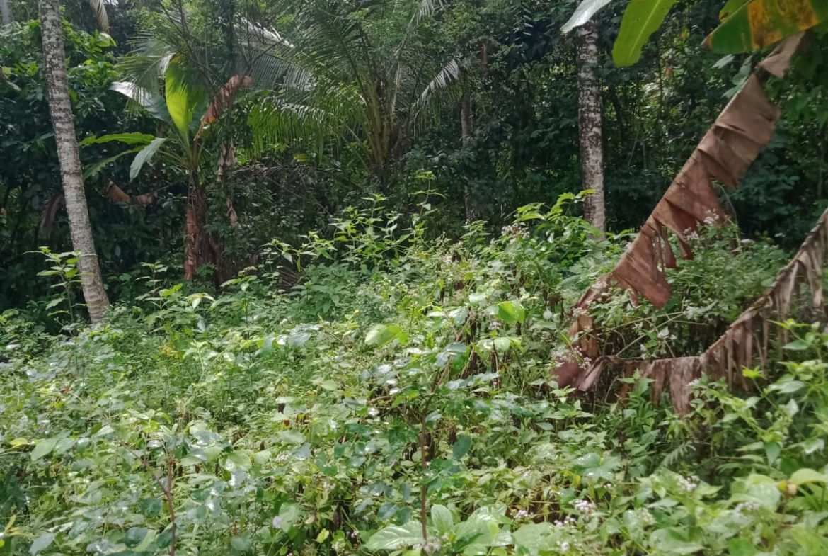 WhatsApp Image 2025 08 21 at 17.56.30 (2)