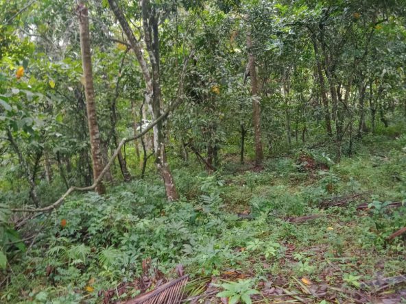 WhatsApp Image 2025 08 21 at 17.56.30 (3)