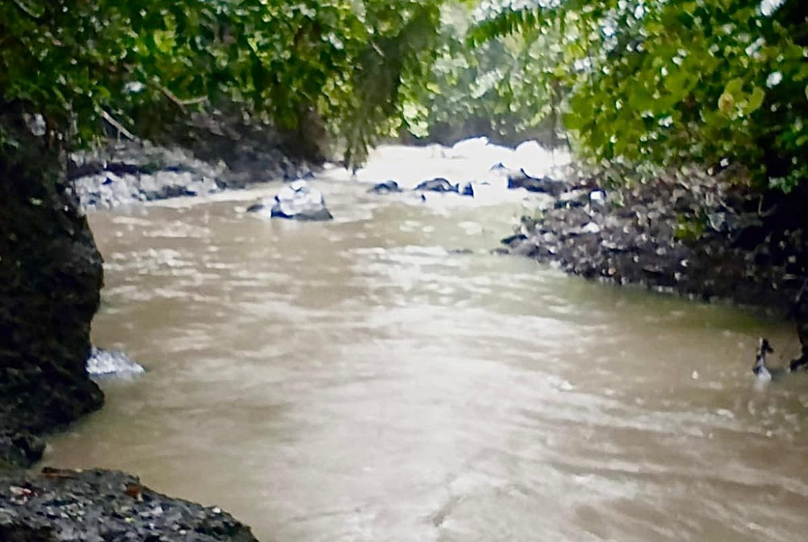 WhatsApp Image 2025 08 21 at 17.56.31