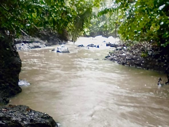 WhatsApp Image 2025 08 21 at 17.56.31