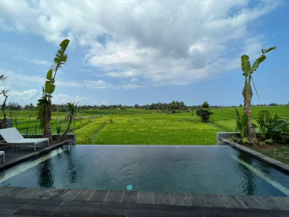 WhatsApp Image 2025 08 31 at 15.19.14 (3)