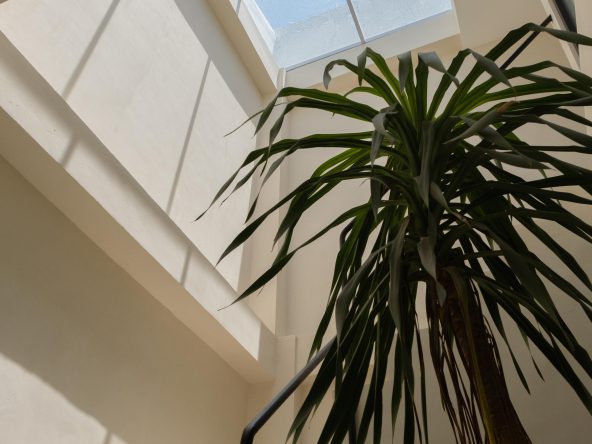 WhatsApp Image 2025 09 09 at 21.40.56 (1)