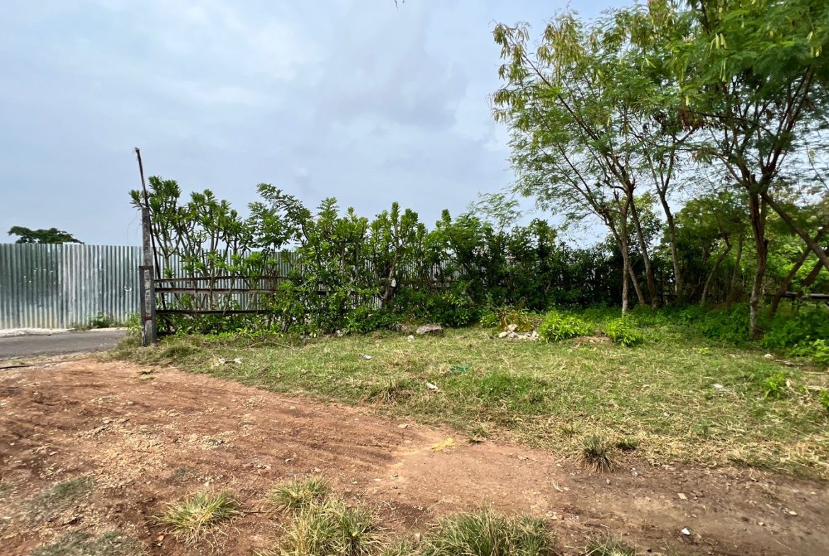 WhatsApp Image 2025 10 21 at 22.33.59