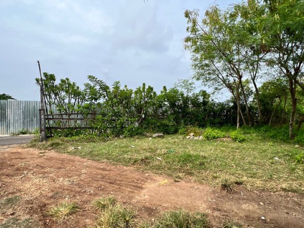 WhatsApp Image 2025 10 21 at 22.33.59