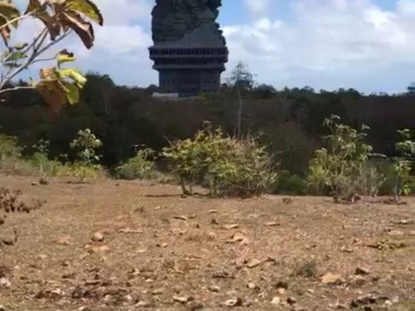 WhatsApp Image 2025 11 14 at 13.22.38