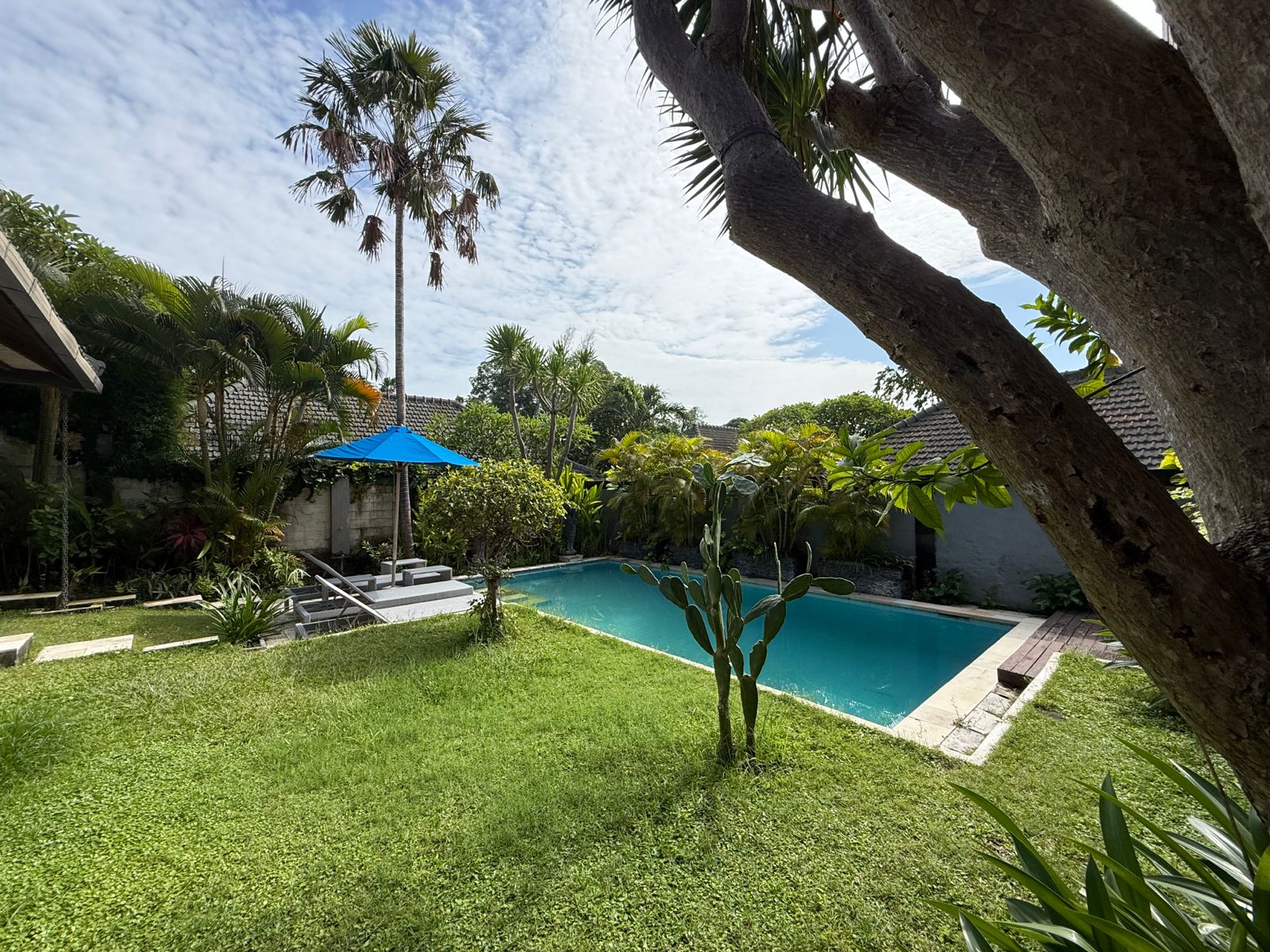 WhatsApp Image 2025 12 15 at 14.26.16