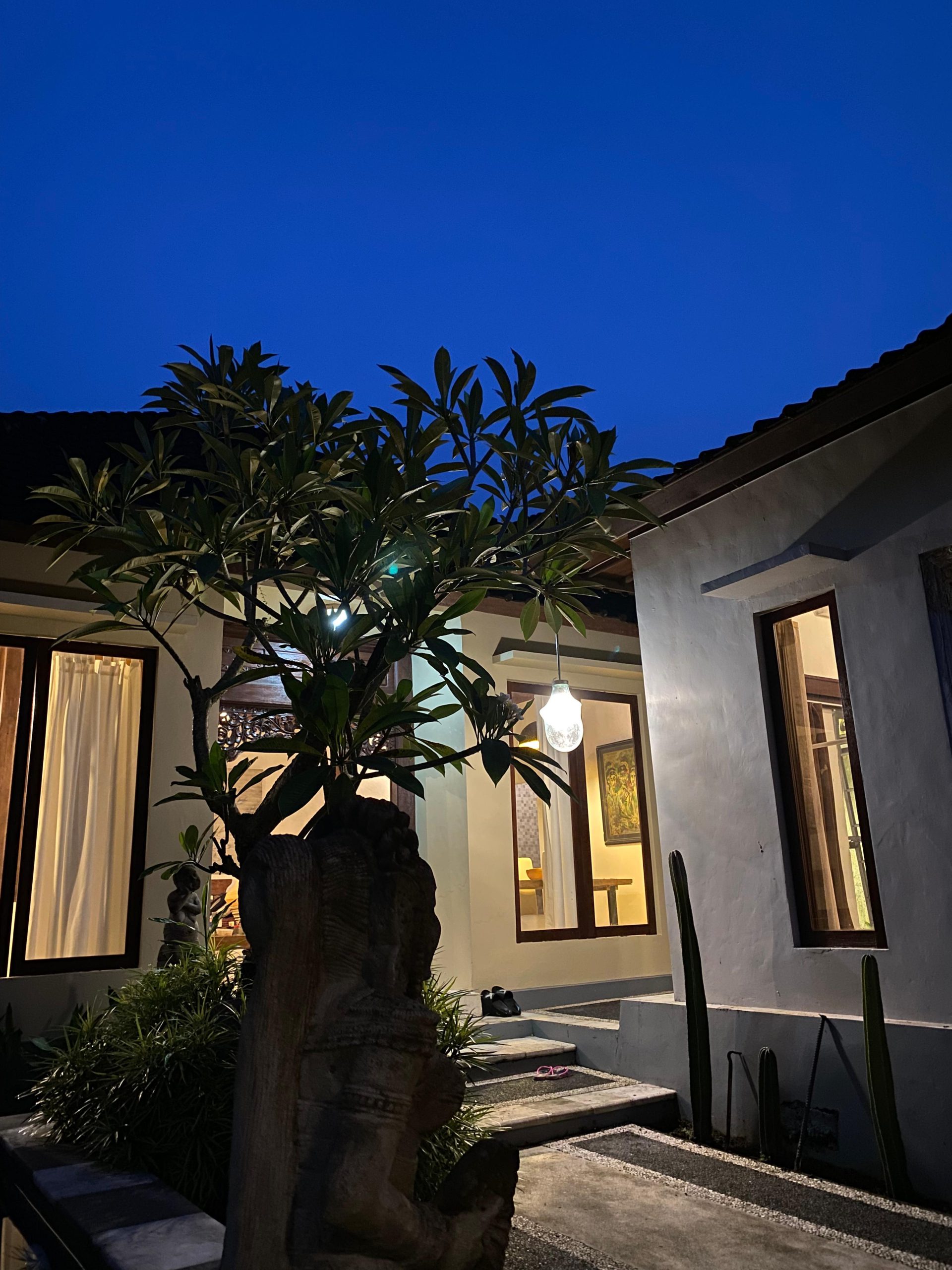 WhatsApp Image 2026 01 12 at 08.35.49