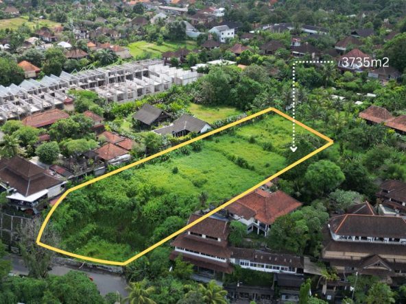 WhatsApp Image 2026 01 13 at 09.49.55