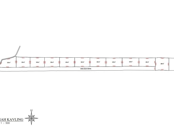 WhatsApp Image 2026 01 21 at 10.42.21 AM