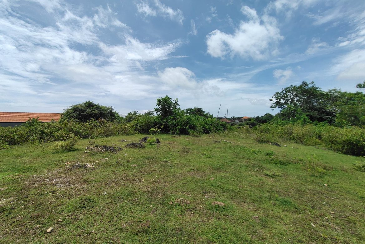 WhatsApp Image 2026 01 23 at 11.29.46 (1)