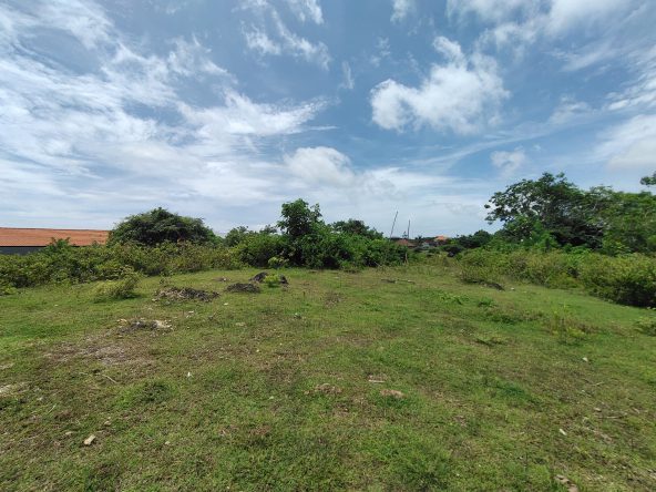 WhatsApp Image 2026 01 23 at 11.29.46 (1)