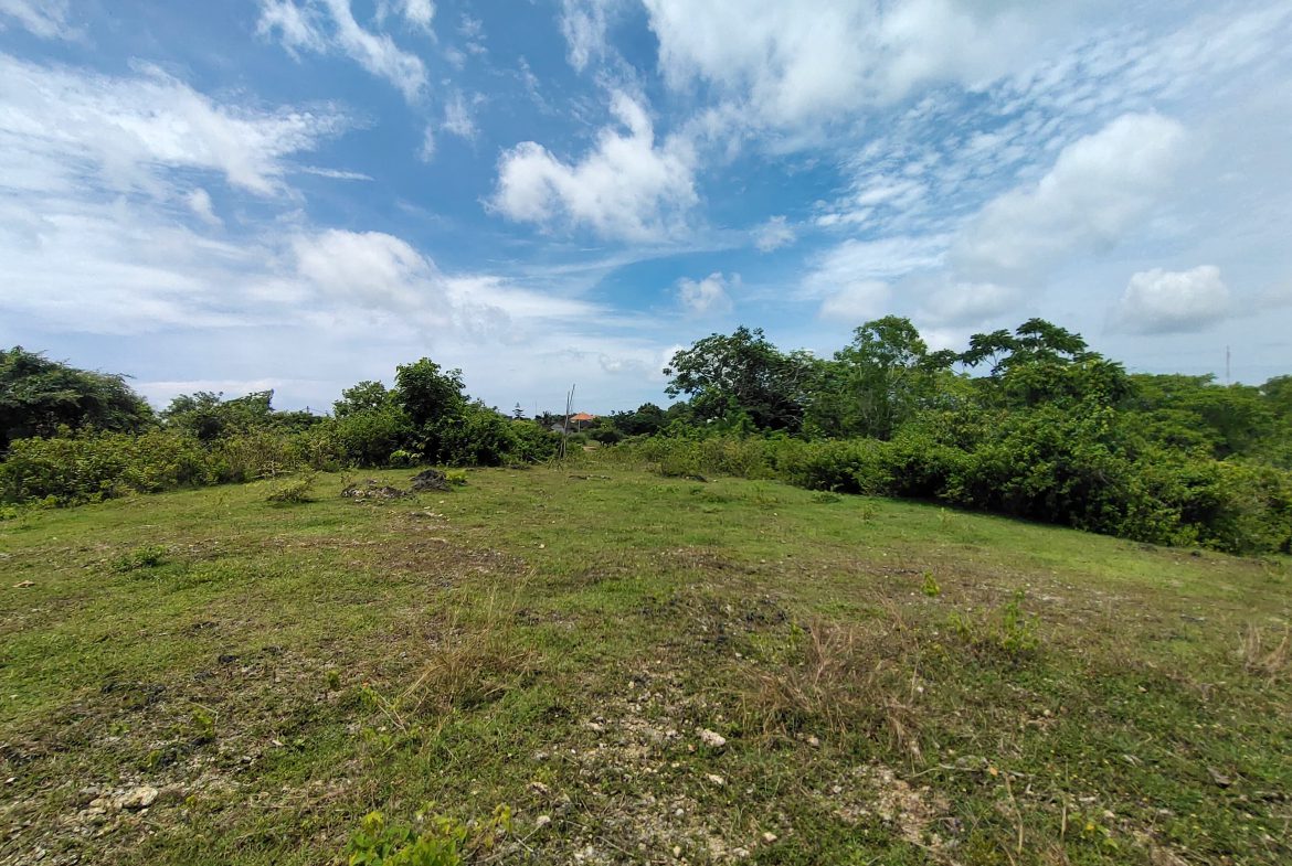 WhatsApp Image 2026 01 23 at 11.29.46