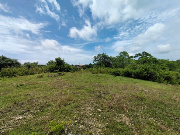 WhatsApp Image 2026 01 23 at 11.29.46