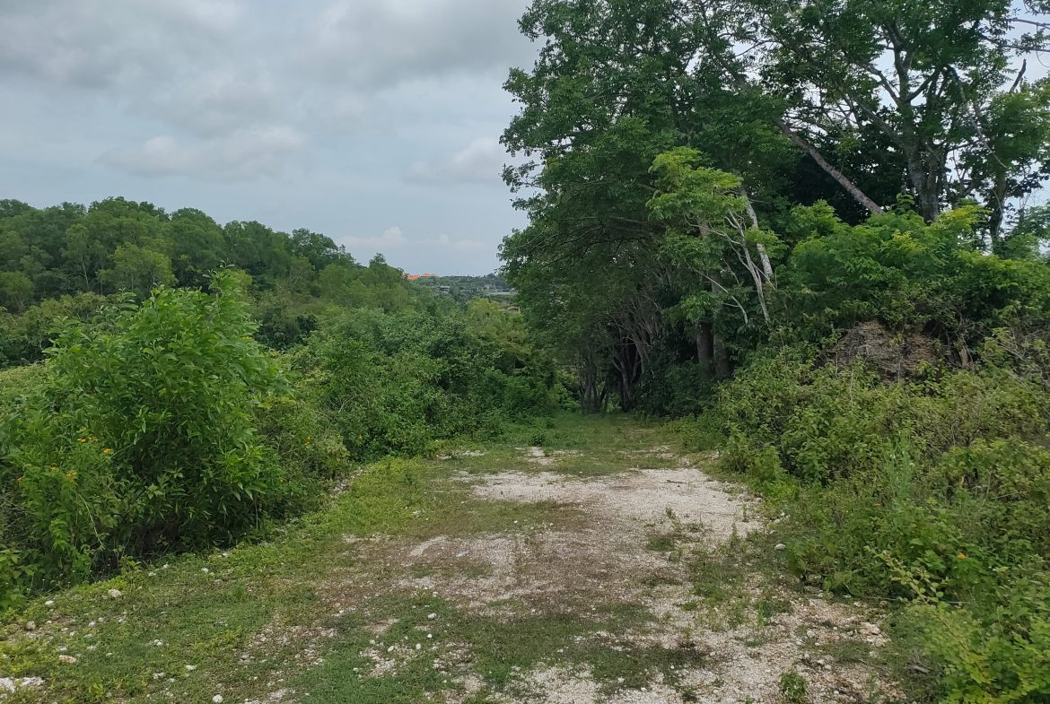 WhatsApp Image 2026 01 23 at 11.29.47 (1)