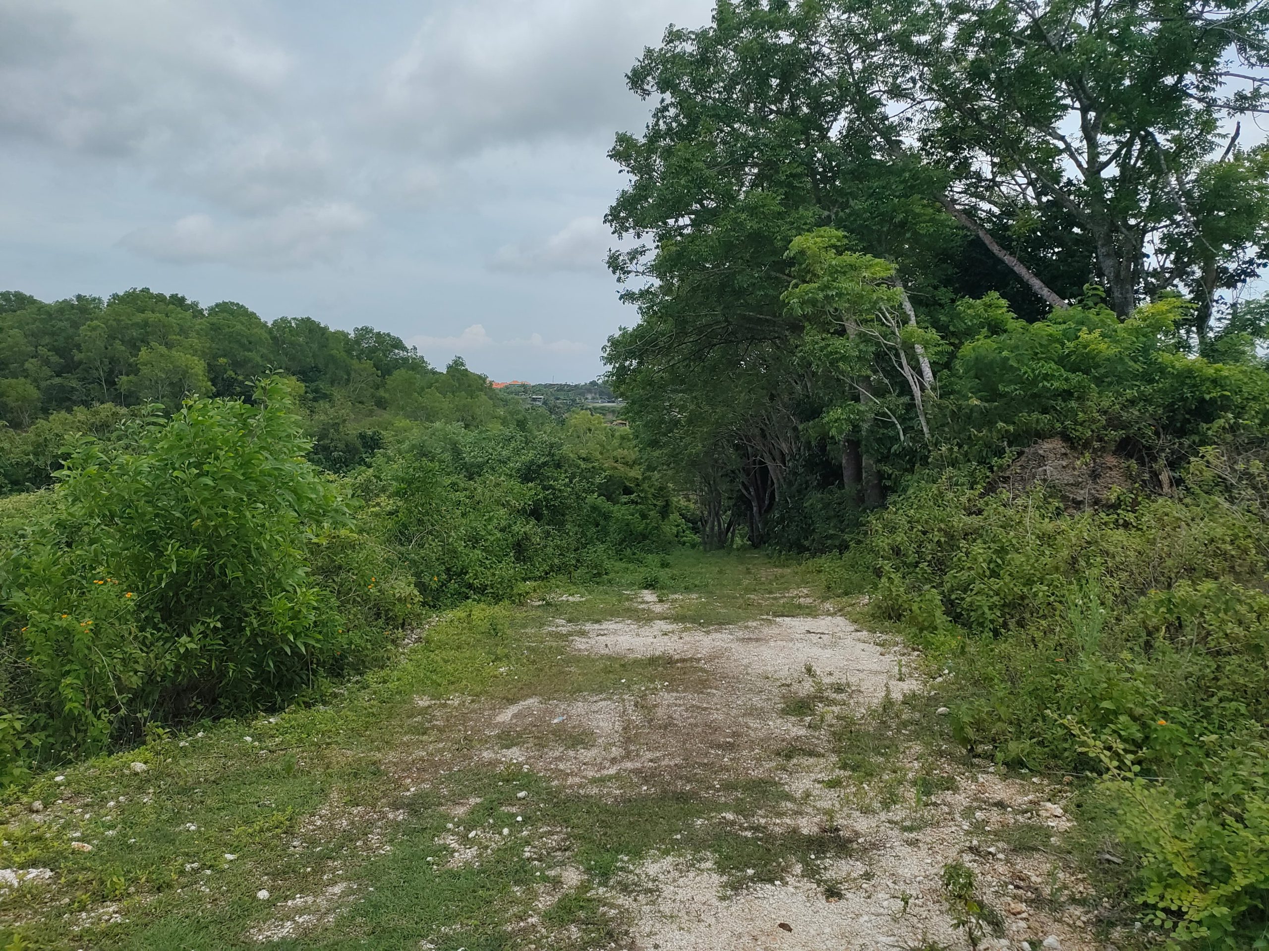 WhatsApp Image 2026 01 23 at 11.29.47 (1)