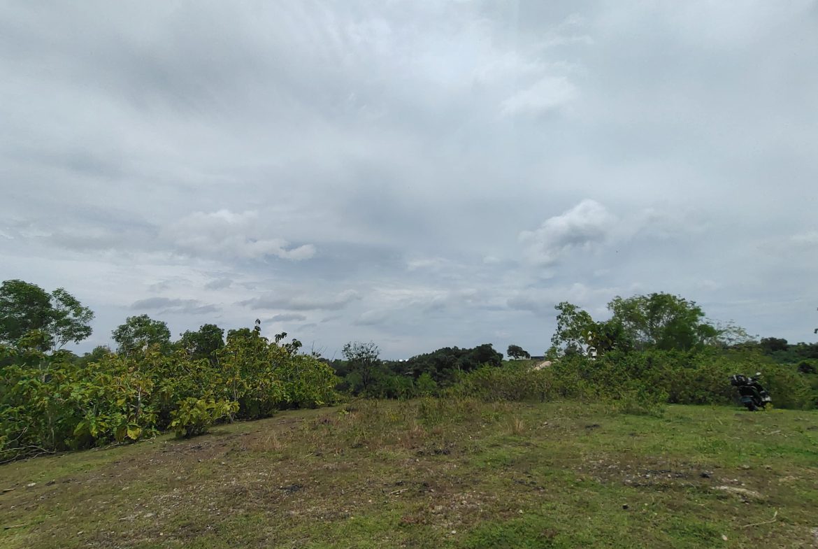 WhatsApp Image 2026 01 23 at 11.29.47