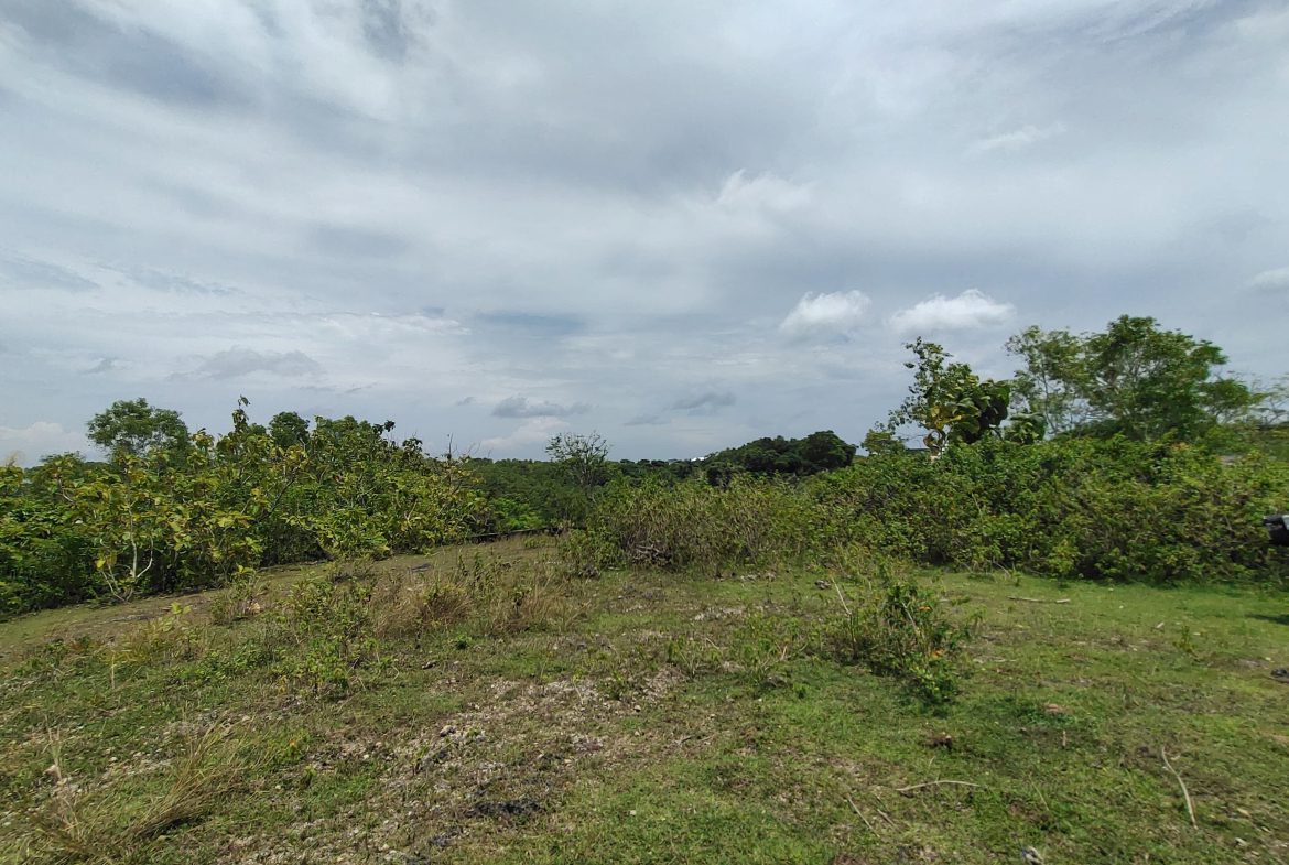 WhatsApp Image 2026 01 23 at 11.29.47 (2)