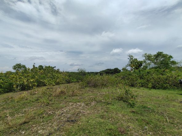 WhatsApp Image 2026 01 23 at 11.29.47 (2)