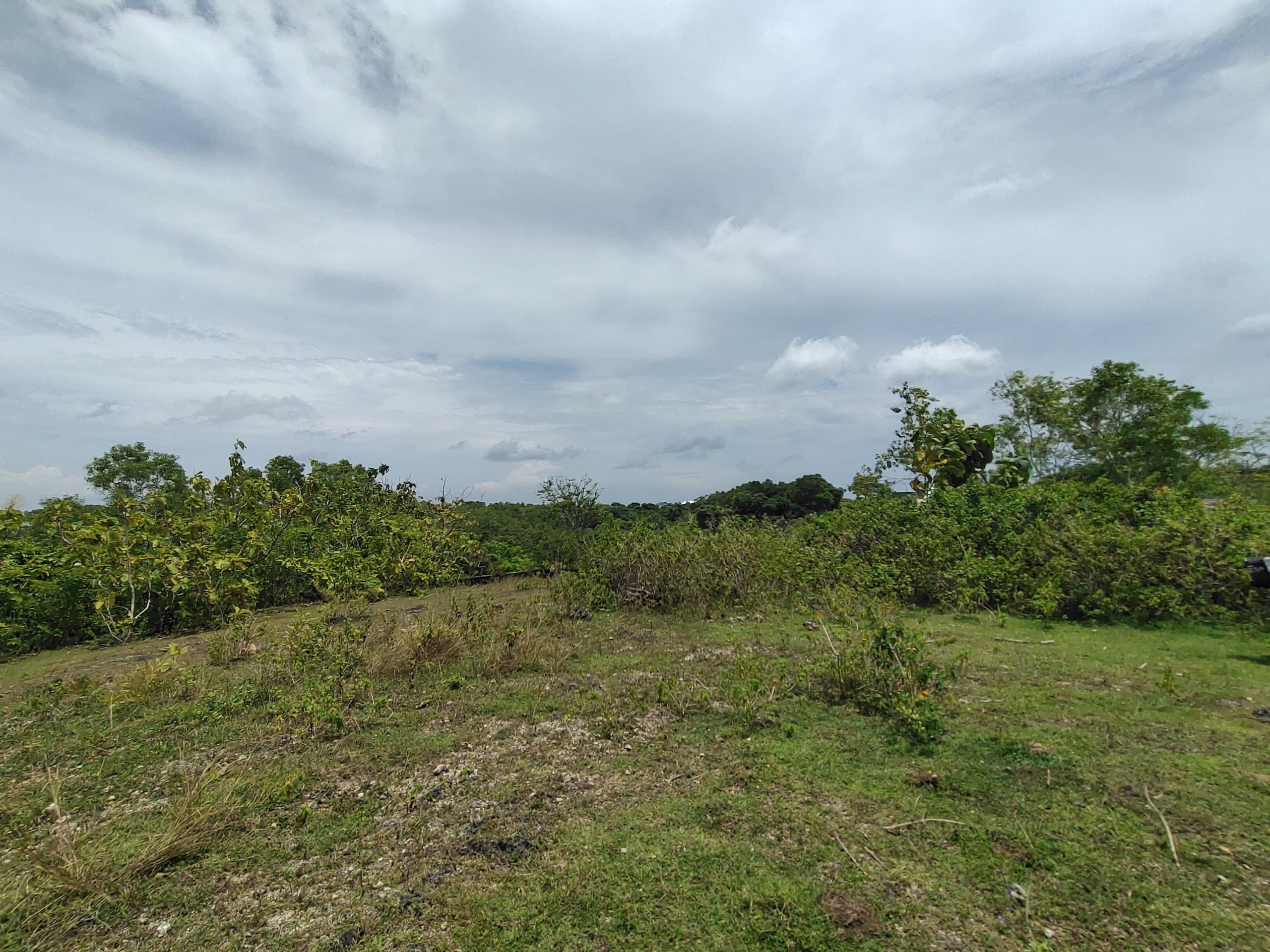 WhatsApp Image 2026 01 23 at 11.29.47 (2)