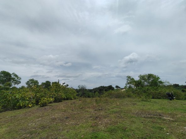 WhatsApp Image 2026 01 23 at 11.29.47