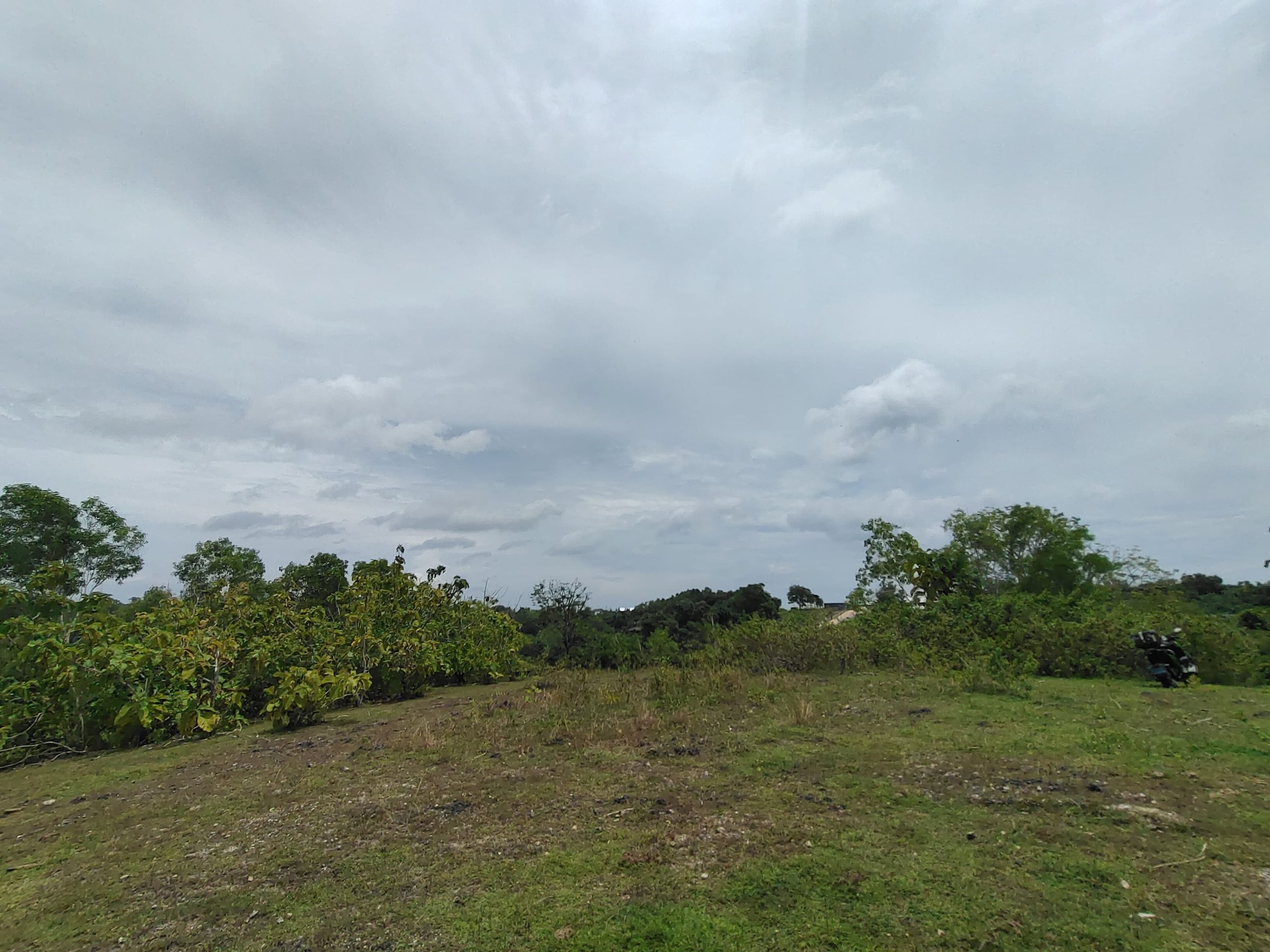 WhatsApp Image 2026 01 23 at 11.29.47