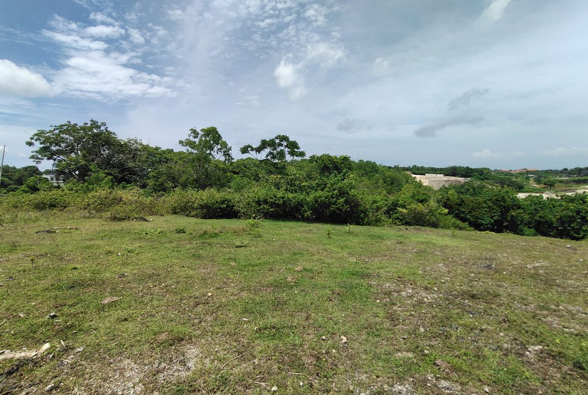 WhatsApp Image 2026 01 23 at 11.29.48