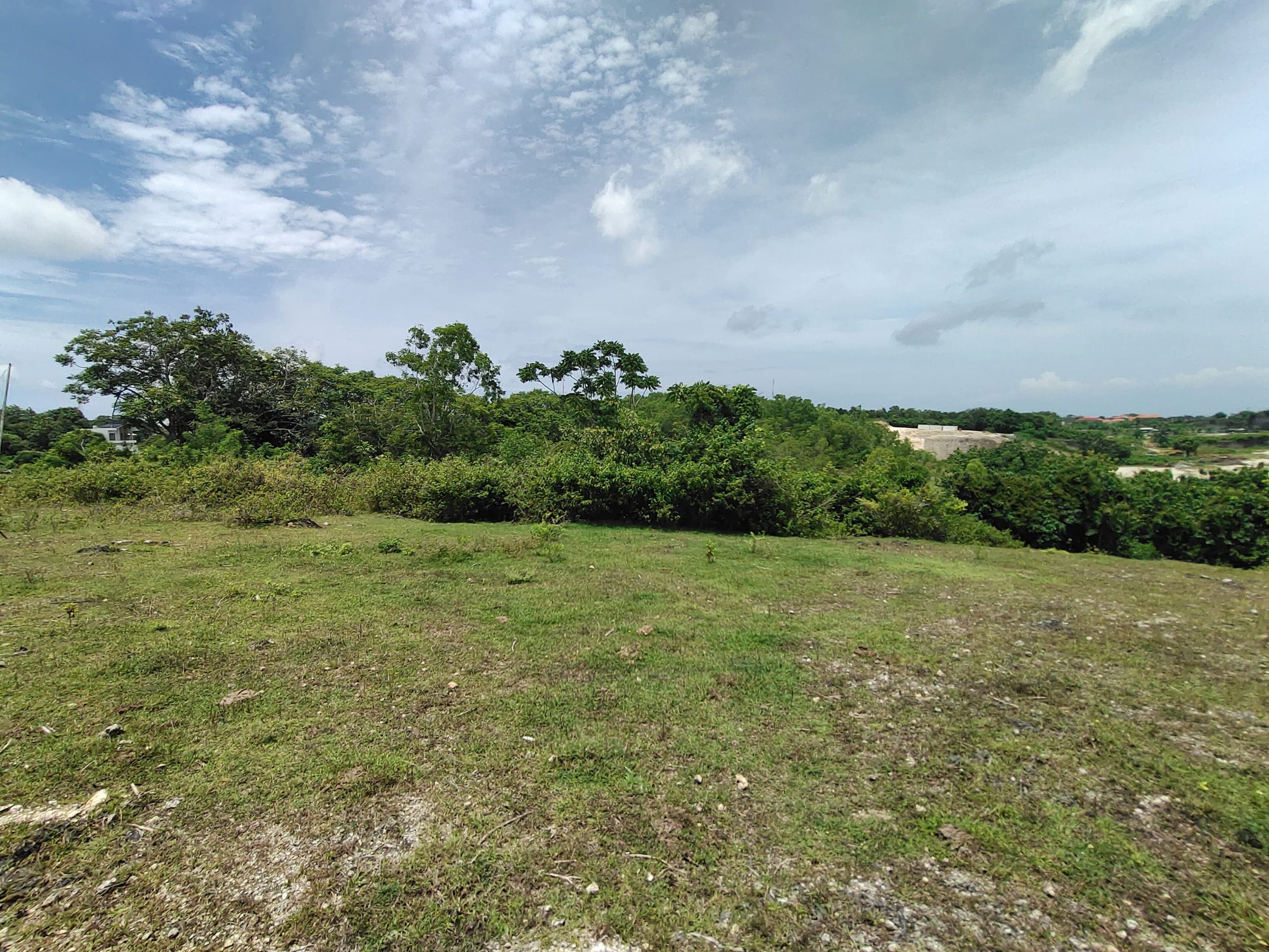 WhatsApp Image 2026 01 23 at 11.29.48