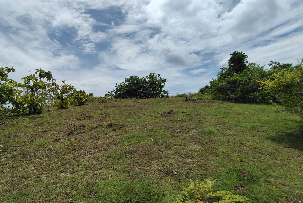 WhatsApp Image 2026 01 23 at 11.29.49 (1)