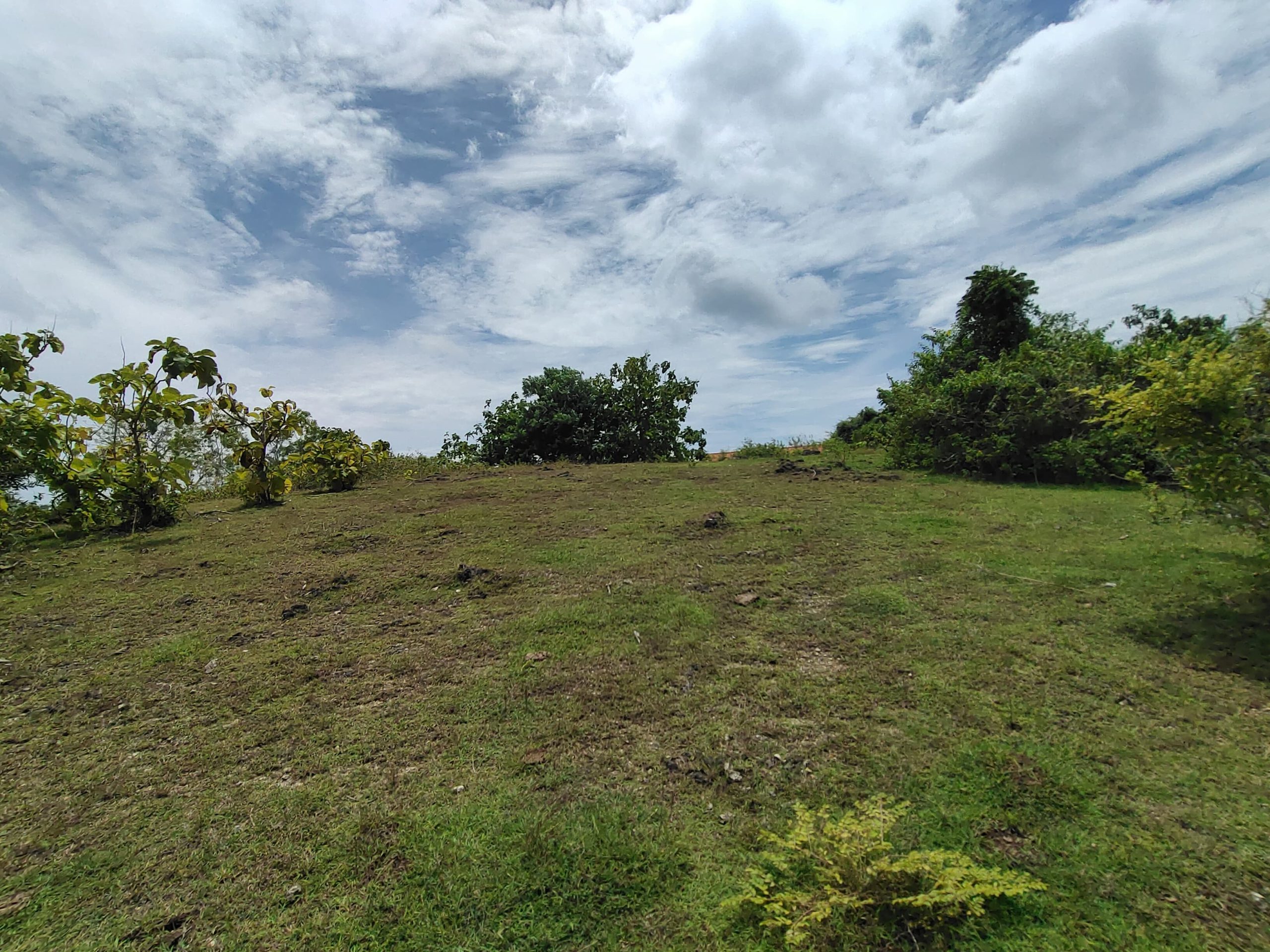 WhatsApp Image 2026 01 23 at 11.29.49 (1)