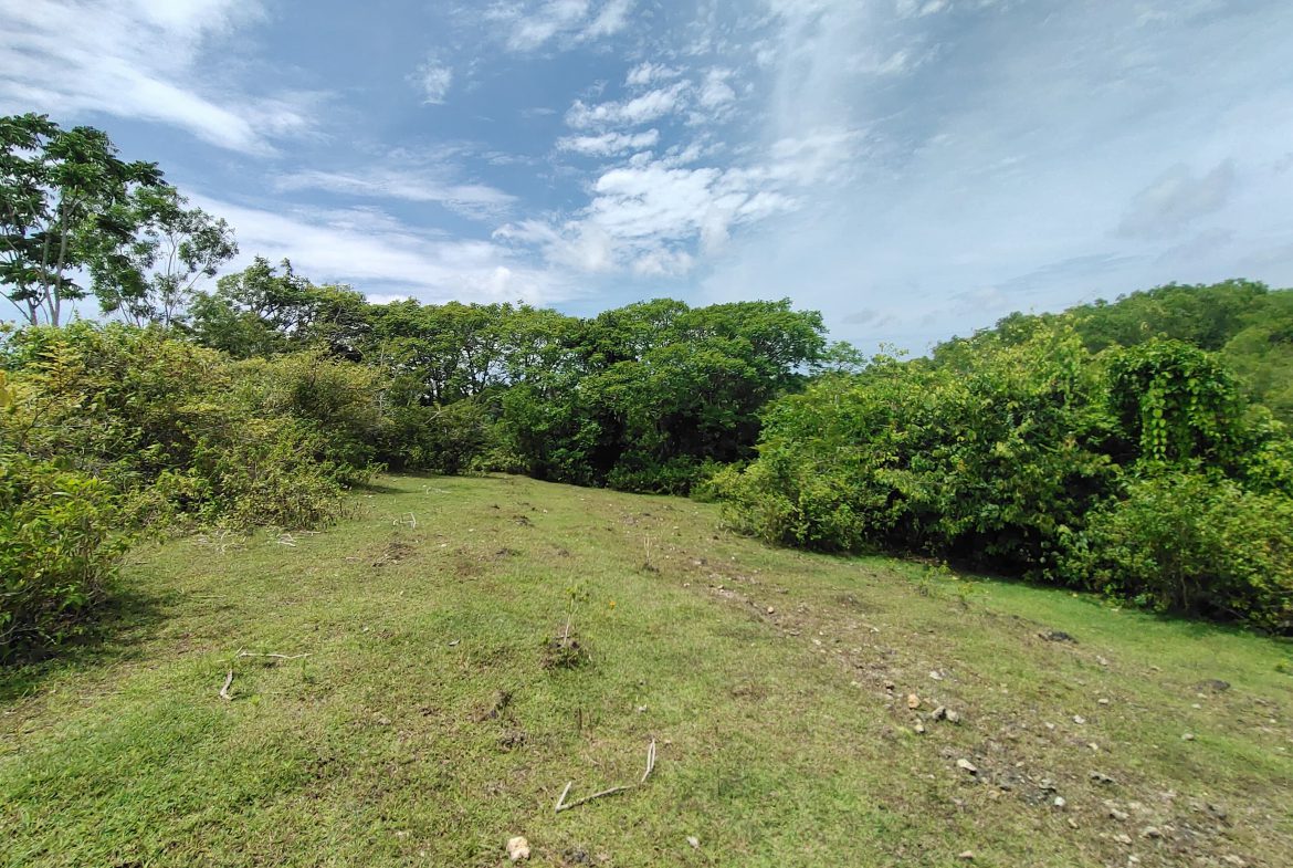 WhatsApp Image 2026 01 23 at 11.29.49