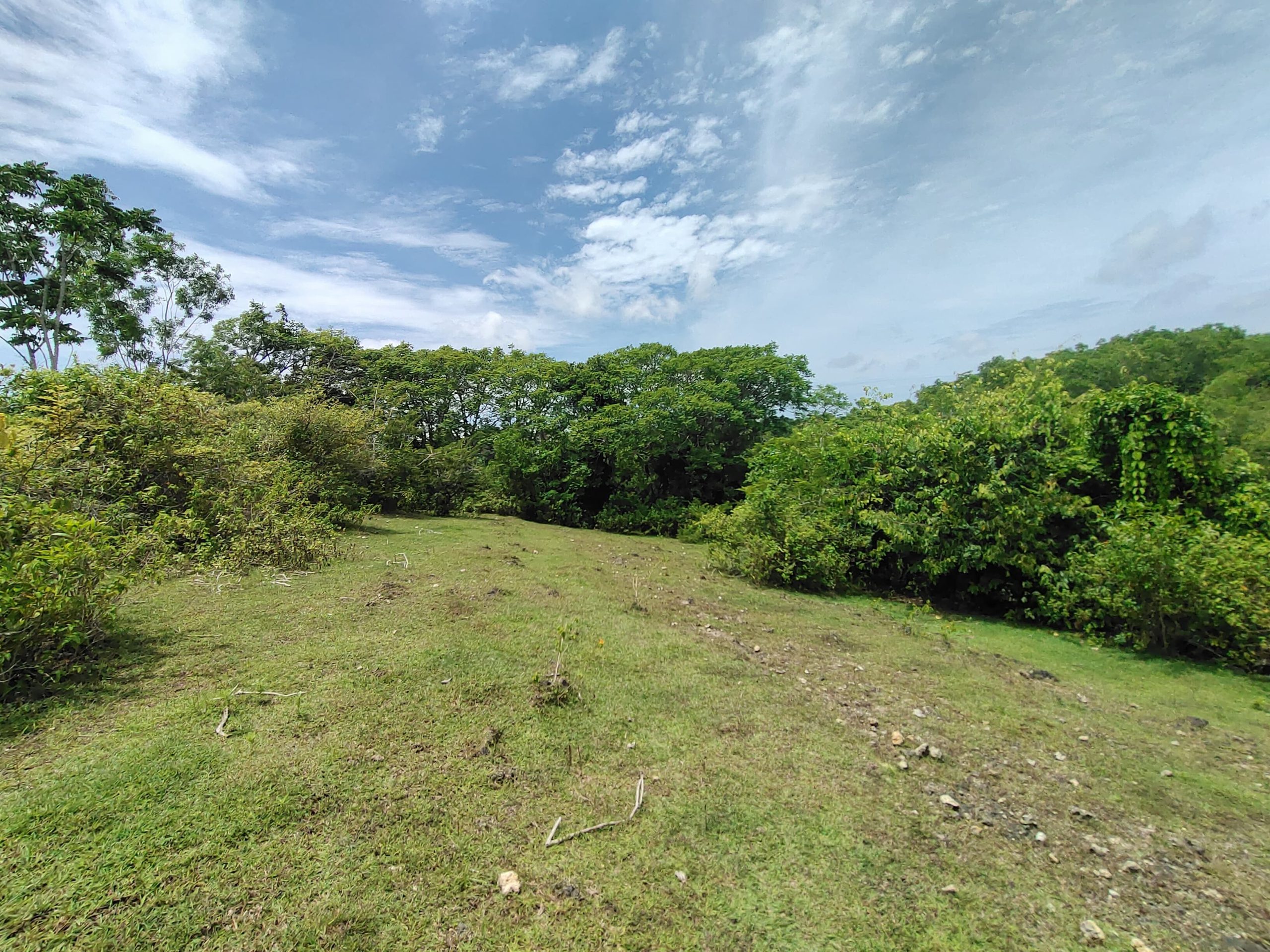 WhatsApp Image 2026 01 23 at 11.29.49