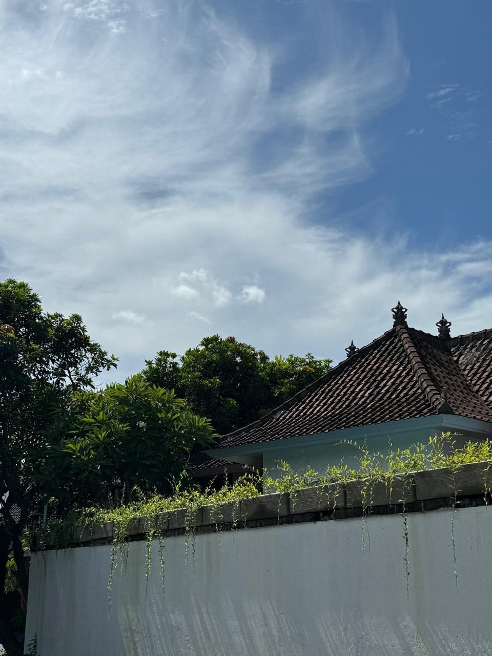 WhatsApp Image 2026 01 24 at 10.06.58