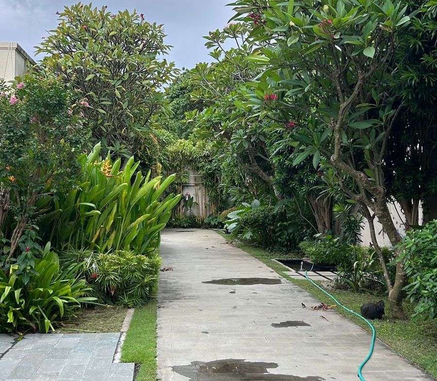 WhatsApp Image 2026 01 26 at 10.38.34 (2)