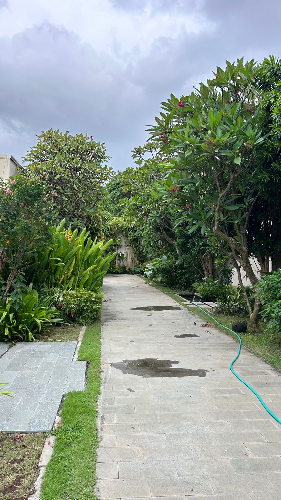 WhatsApp Image 2026 01 26 at 10.38.34 (2)