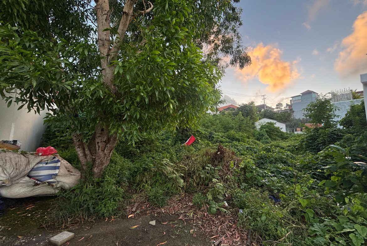 WhatsApp Image 2026 02 06 at 12.10.40