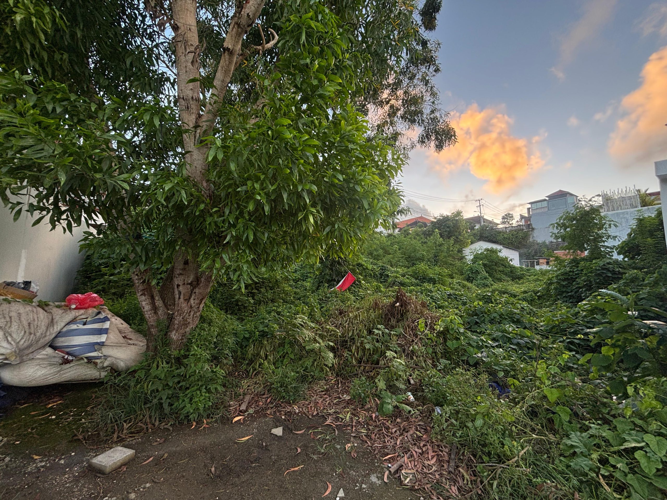 WhatsApp Image 2026 02 06 at 12.10.40