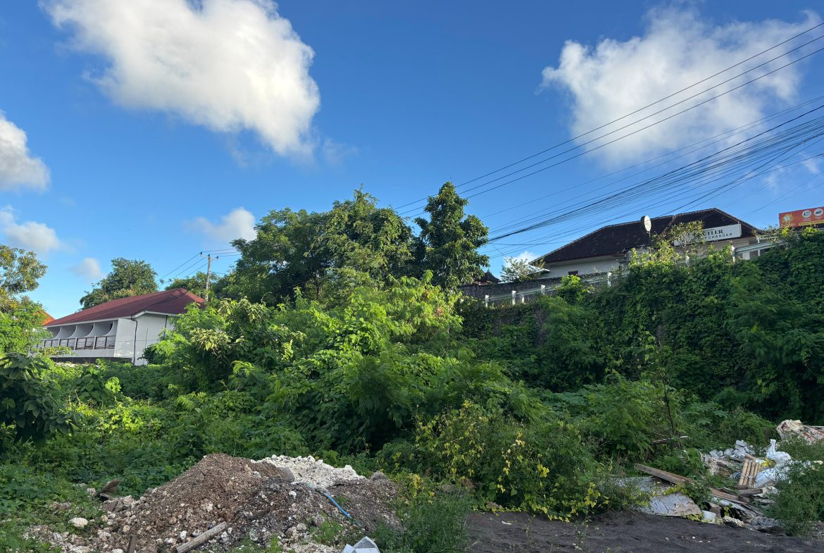 WhatsApp Image 2026 02 06 at 12.10.41