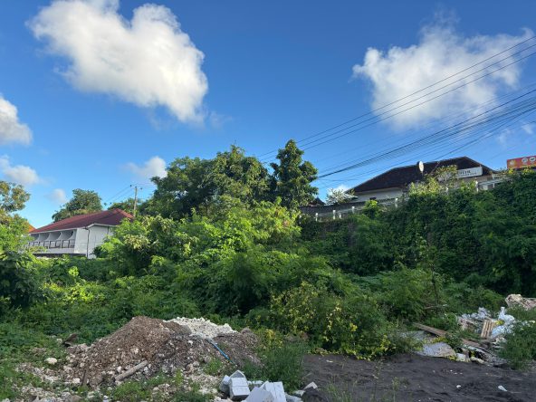 WhatsApp Image 2026 02 06 at 12.10.41