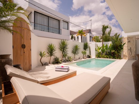 WhatsApp Image 2026 02 17 at 13.03.17 (1)