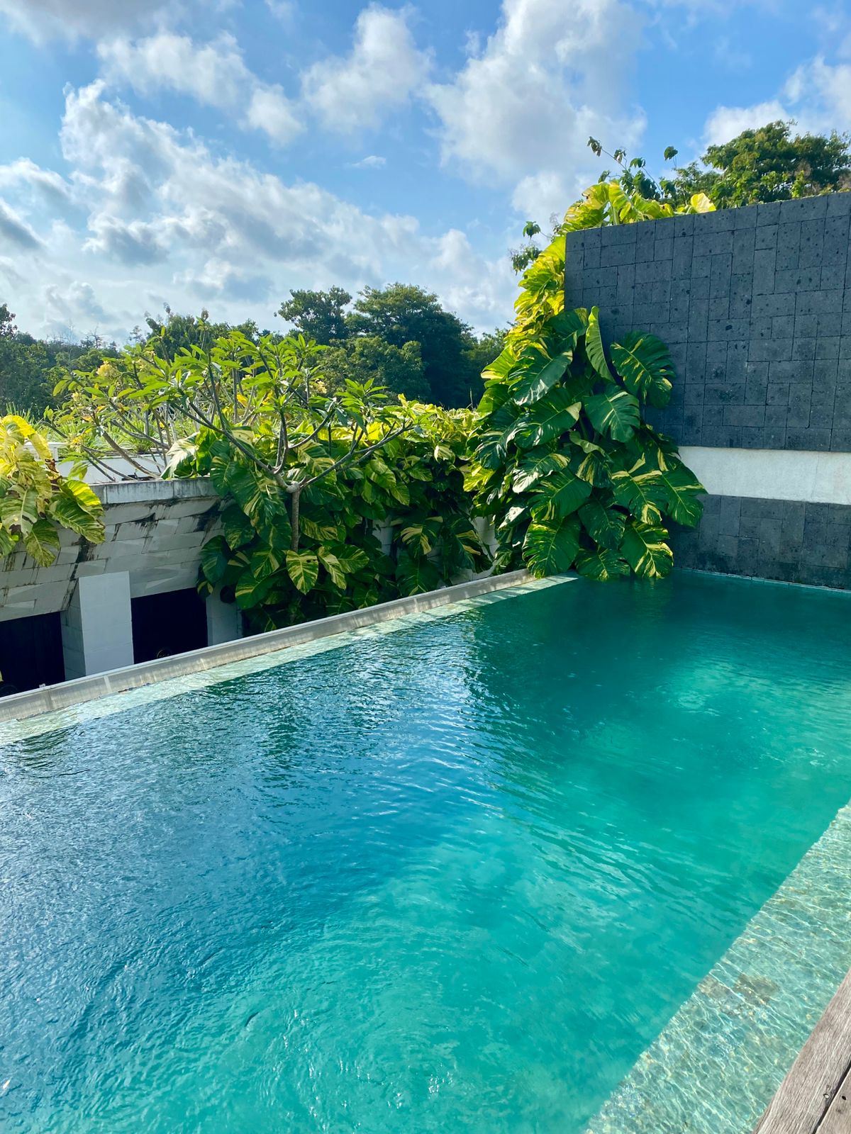 WhatsApp Image 2026 02 17 at 16.11.06