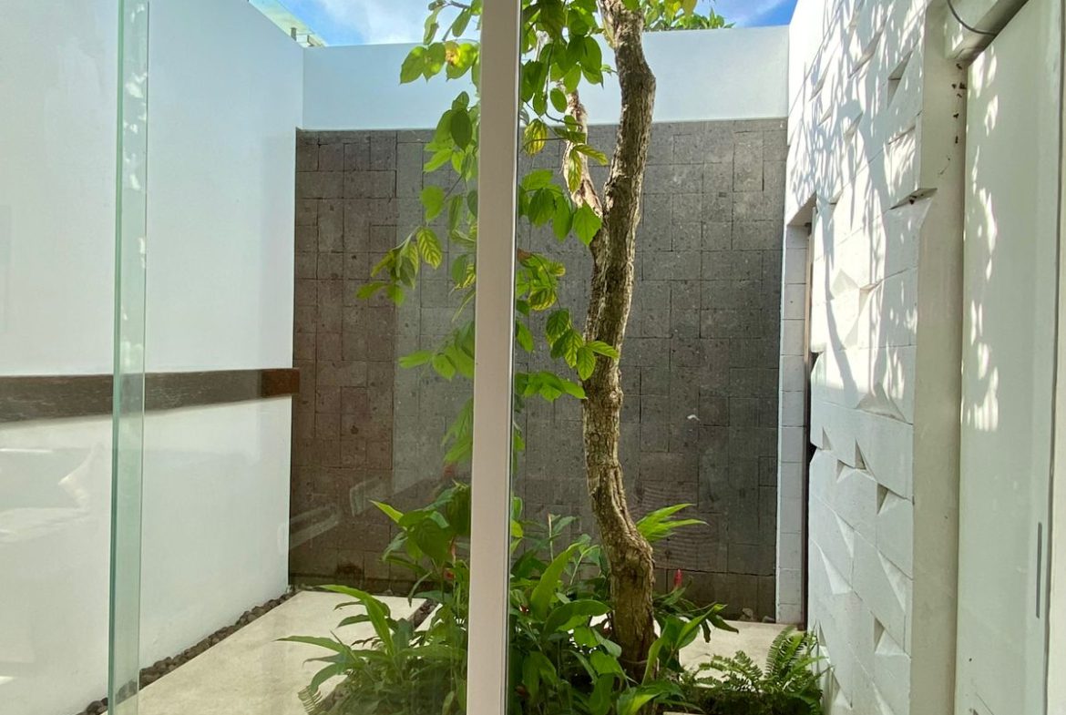 WhatsApp Image 2026 02 17 at 16.11.08