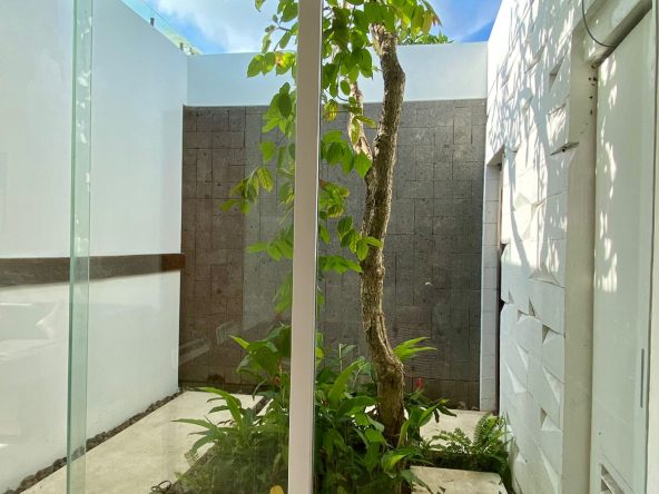 WhatsApp Image 2026 02 17 at 16.11.08